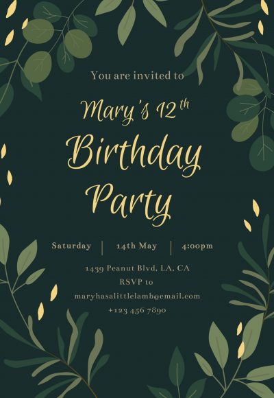 birthday invitation13