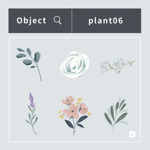plant06